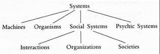 Schema for a human and machine ecology