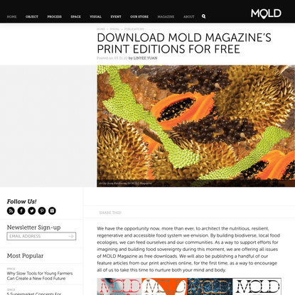 Download MOLD Magazine’s Print Editions for Free