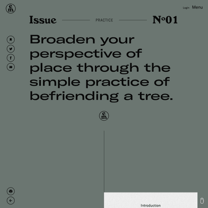 Broaden your perspective of place through the simple practice of befriending a tree.