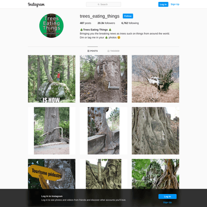 🌲Trees Eating Things 🌲 (@trees_eating_things) • Instagram photos and videos