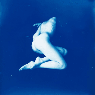 Aline Héau Cyanotype