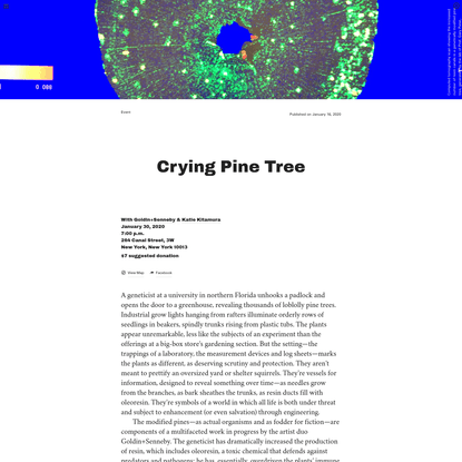Triple Canopy - Crying Pine Tree by Goldin+Senneby &amp; Katie Kitamura