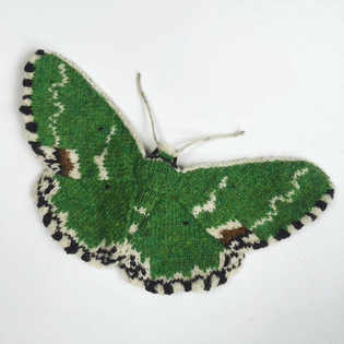 Blotched Emerald Moth (Comibaena Bajularia) 