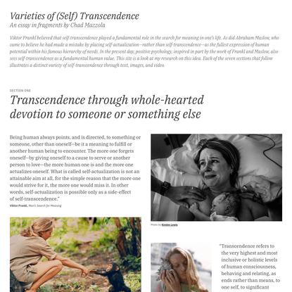 Varieties of (Self) Transcendence: An Essay in Fragments
