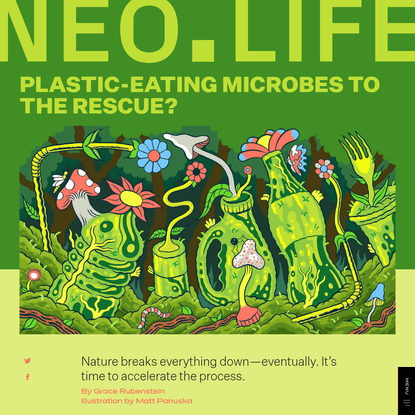Plastic-Eating Microbes to the Rescue? - NEO.LIFE