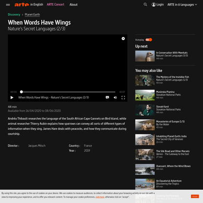 When Words Have Wings - Nature's Secret Languages (2/3) | ARTE in English