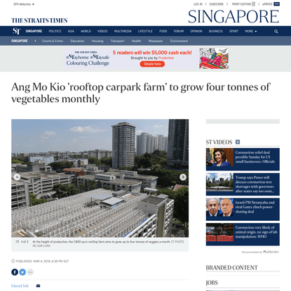 Ang Mo Kio 'rooftop carpark farm' to grow four tonnes of vegetables monthly