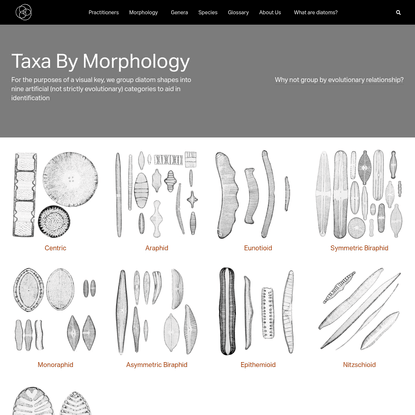 Morphology - Diatoms of North America