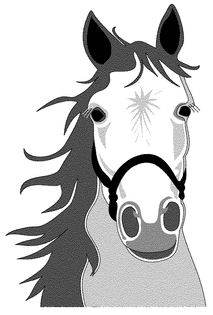 horse70.png