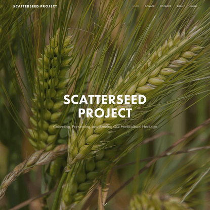 Scatterseed Project