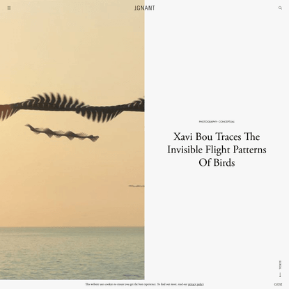 Xavi Bou Traces The Invisible Flight Patterns Of Birds - IGNANT