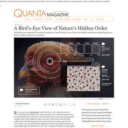 A Bird's-Eye View of Nature's Hidden Order | Quanta Magazine