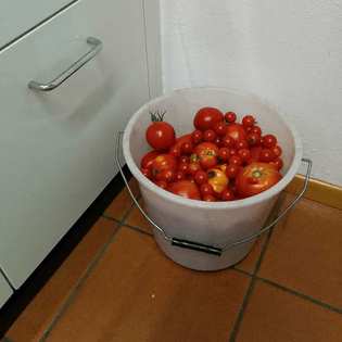#pomodori