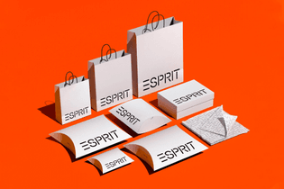 esprit_shopping_bags.jpg