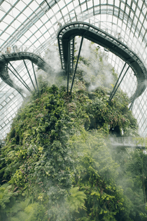 the-cloud-forestgardens-by-the-bay-bloggardens-by-the-bay-singaporehow-to-visit-gardens-by-the-baygardens-by-the-bay-guide-9...