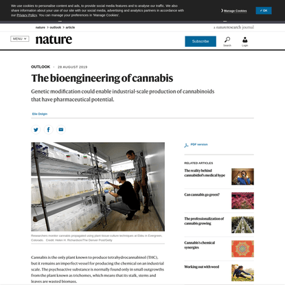The bioengineering of cannabis
