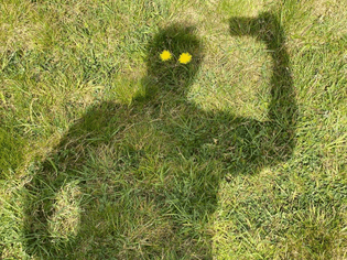 flower_eyes.jpg
