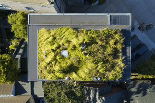 the-living-roof-is-planted-with-a-combination-of-natural-grasses-and-succulents-from-the-roof-there-is-a-panoramic-view-over...