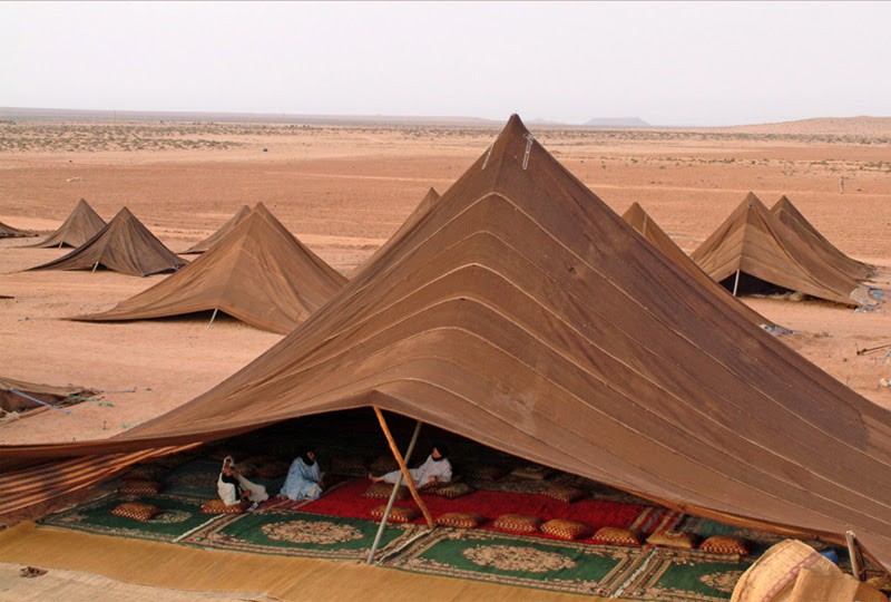 desert tent rug