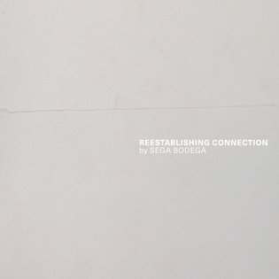 Reestablishing Connection, by Sega Bodega