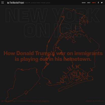 How Donald Trump&amp;#39;s War on Immigrants Is Playing Out in NYC