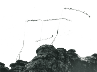 Joan Brigham — Are.na