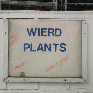 tumblr_o4vitlmb3F1tazt9io1_1280.jpg