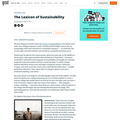 The Lexicon of Sustainability