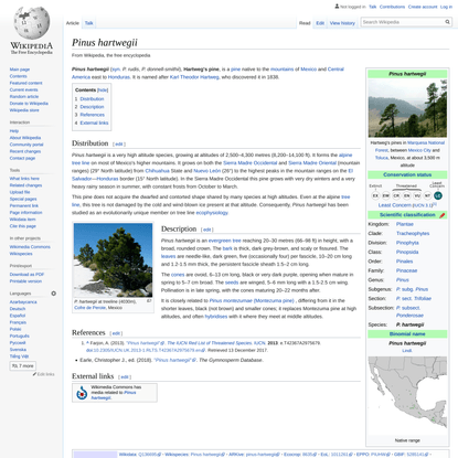 Pinus hartwegii - Wikipedia
