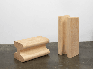 untitled-extrusion-4-2020-003-edit1.jpg