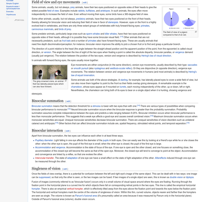 Binocular vision - Wikipedia