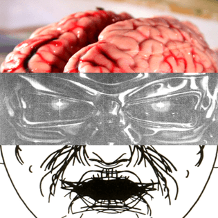 amnesia-scanner__0494__lede.jpg