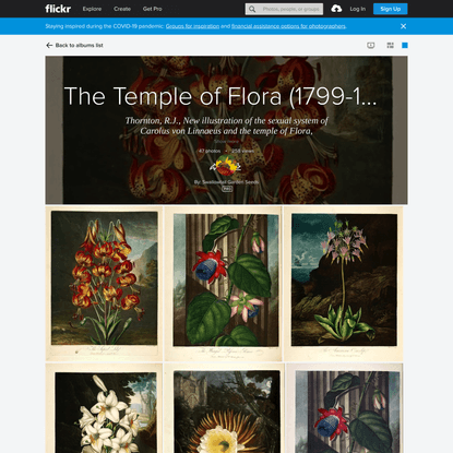 The Temple of Flora (1799-1807)