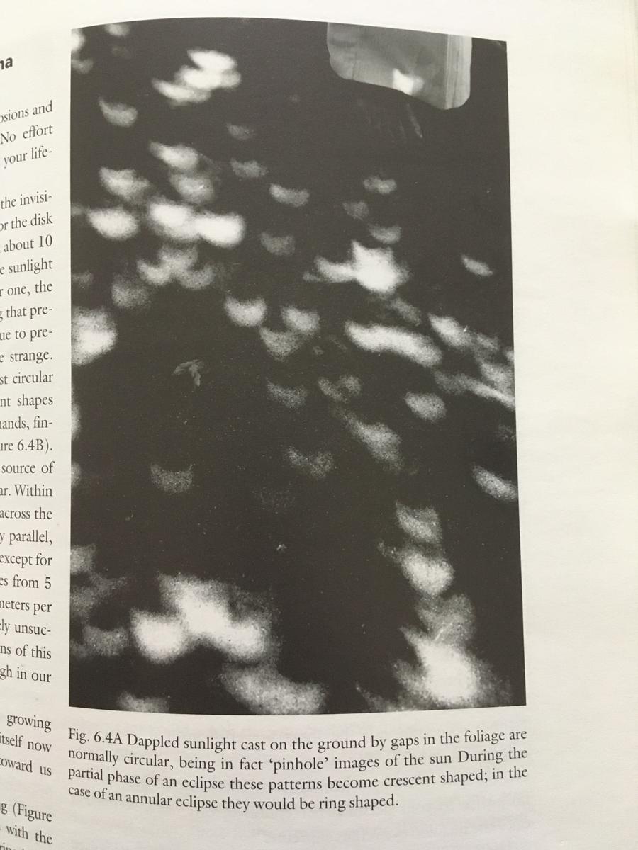 Color and Light in Nature - Book by David Knight Lynch and William Charles Livingston