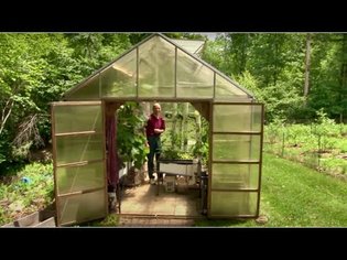 Backyard aquaponics: DIY system to farm fish with vegetables