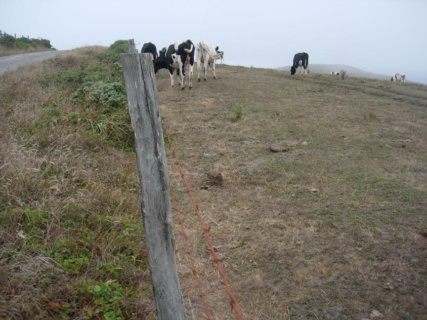 viscosity; resistance to gradual deformation through stress (3)