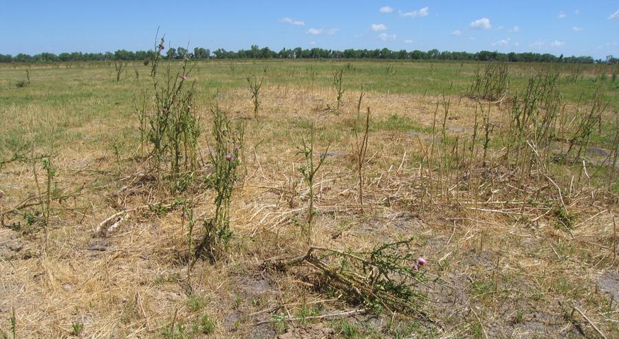 viscosity; resistance to gradual deformation through stress (2)