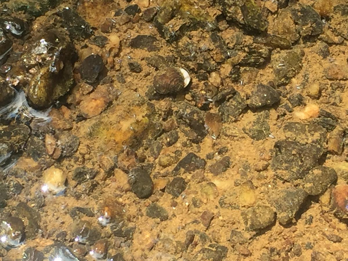 reduced mass; move toward one body (3)