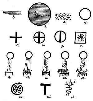 mora — delay and duration — weight of utterance (13)