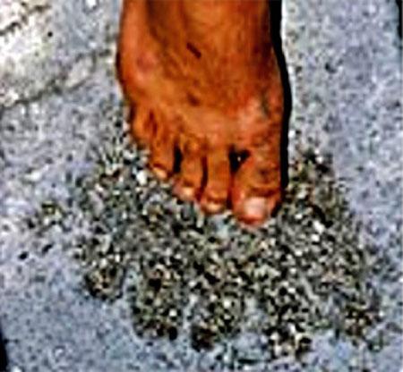 move at will into trance state; population from each generation