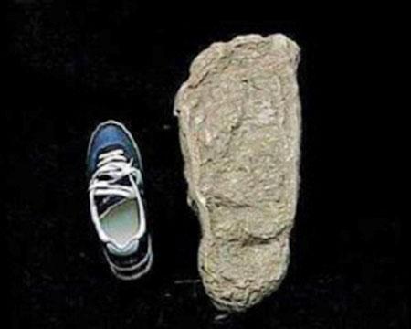 move at will into trance state; mean of natural distribution