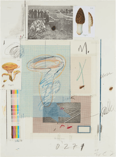 Cy Twombly, Natural History Part I Mushrooms: No. VII (1974)