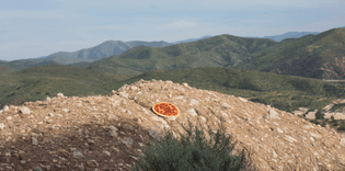 pizza_top.jpg?format=2500w