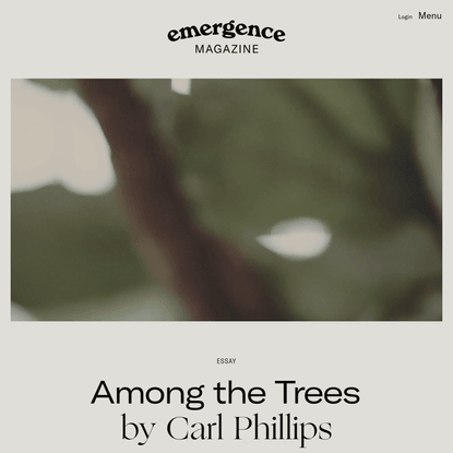 Among the Trees - Emergence Magazine
