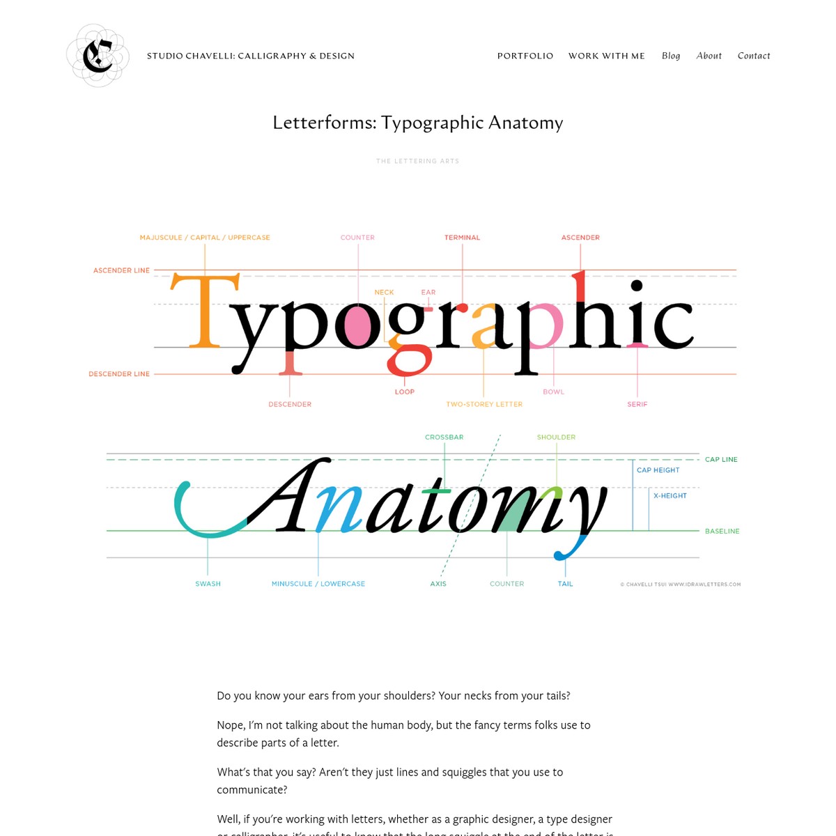 Letterforms Typographic Anatomy Studio Chavelli Calligraphy