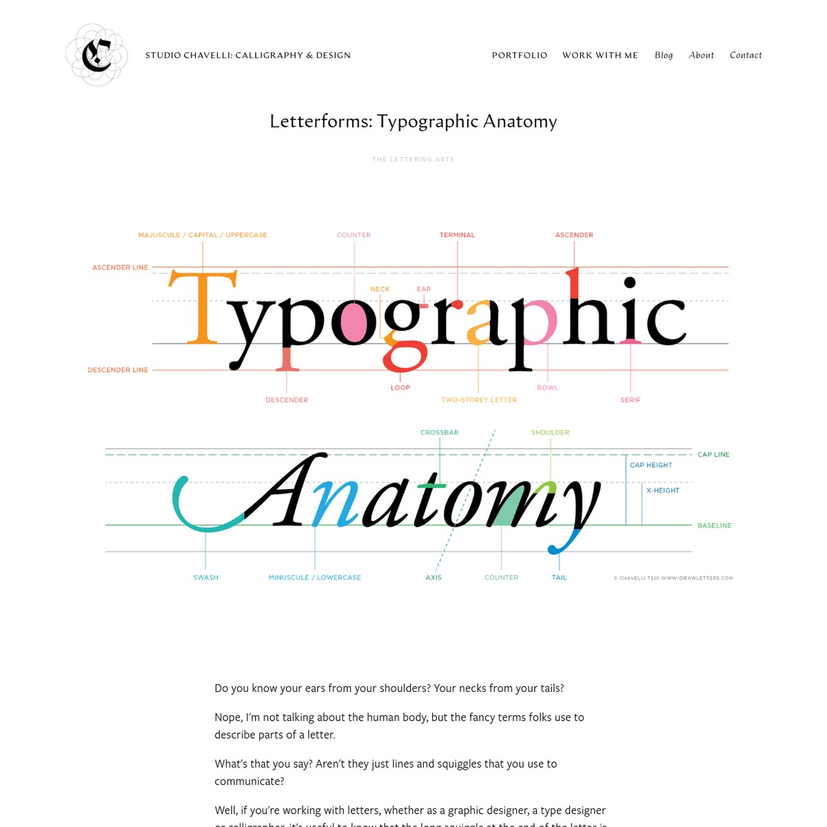 Letterforms: Typographic Anatomy - Studio Chavelli: Calligraphy ...