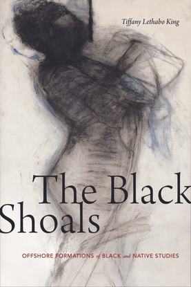 lethabo-king-the-black-shoals-introuction.pdf