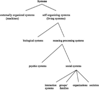 typology-of-systems-according-to-niklas-luhmann.png