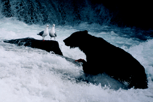 brocken_inaglory_1998_01.jpg