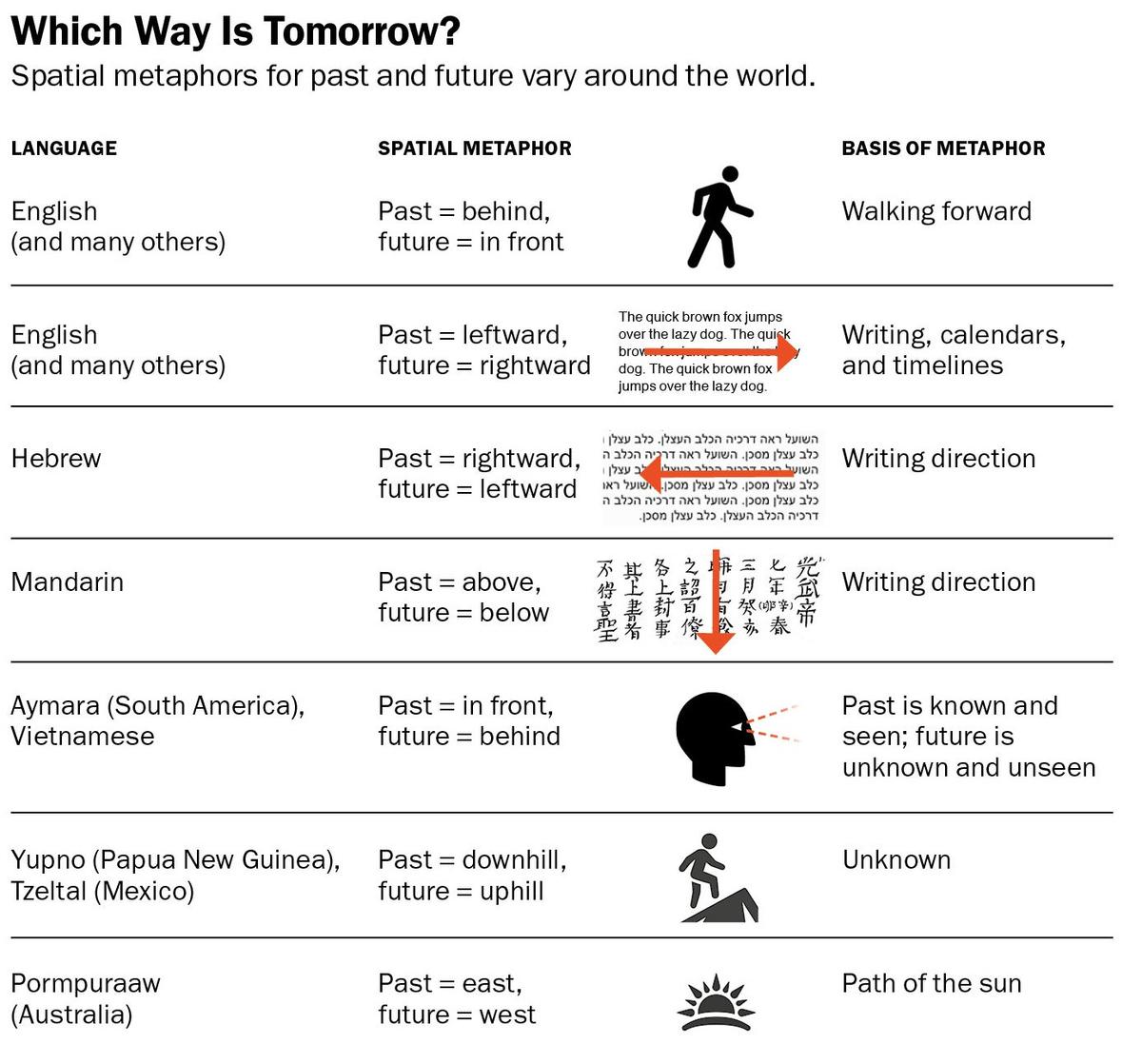 Which Way is Tomorrow?